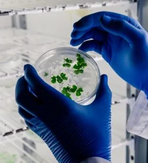 B. Sc Bio-Technology, Microbiology and Chemistry (B.Sc - BMC)