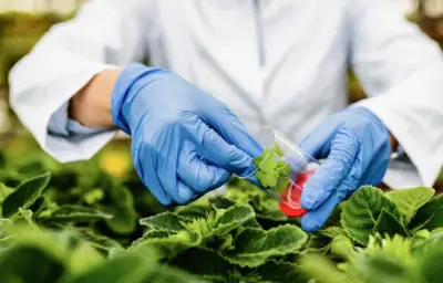 B.Sc Hons (Sustainable Food Practices)