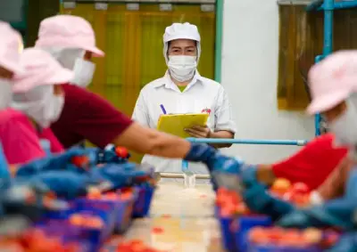 M.Sc (Global Food Supply Chain Management)